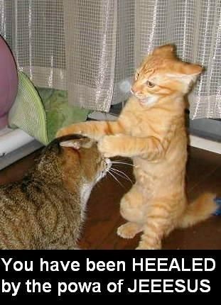 [Image: lolcat-faith-heealer.jpg]