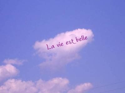 la-vie-est-belle.jpg