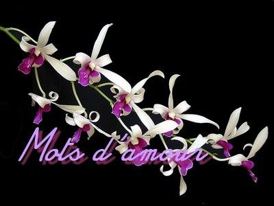 Copie-de-28mots-d-amour.jpg
